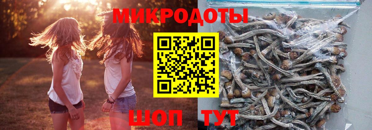 Псилоцибиновые грибы GOLDEN TEACHER Лениногорск