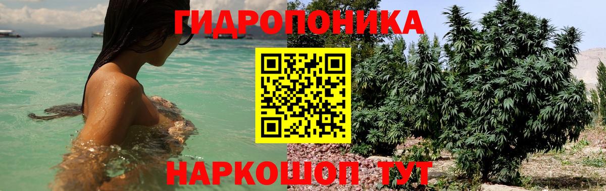 Каннабис план Лениногорск